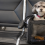 Guía 2024 para Viajar con Mascotas: Tarifas y Servicios Aéreos
