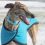 La ropa especializada para galgos y su importancia