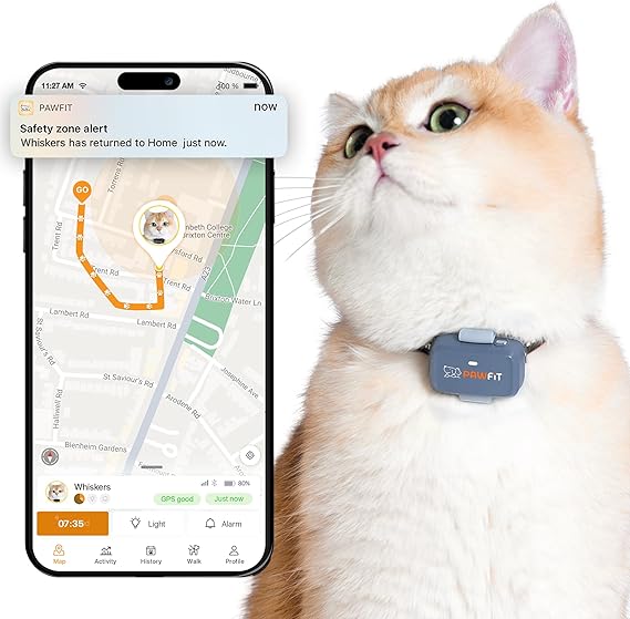 PAWFIT LITE FOR CATS - RASTREADOR GPS 4g | SEGUIMIENTO EN TIEMPO REAL | MONITOREO DE ACTIVIDAD | HISTORIAL DE UBICACIONES | RANGO ILIMITADO | COLLAR DE SEGURIDAD INCLUIDO | GRIS LILA