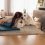 Guía completa para la TENENCIA RESPONSABLE DE PERROS 