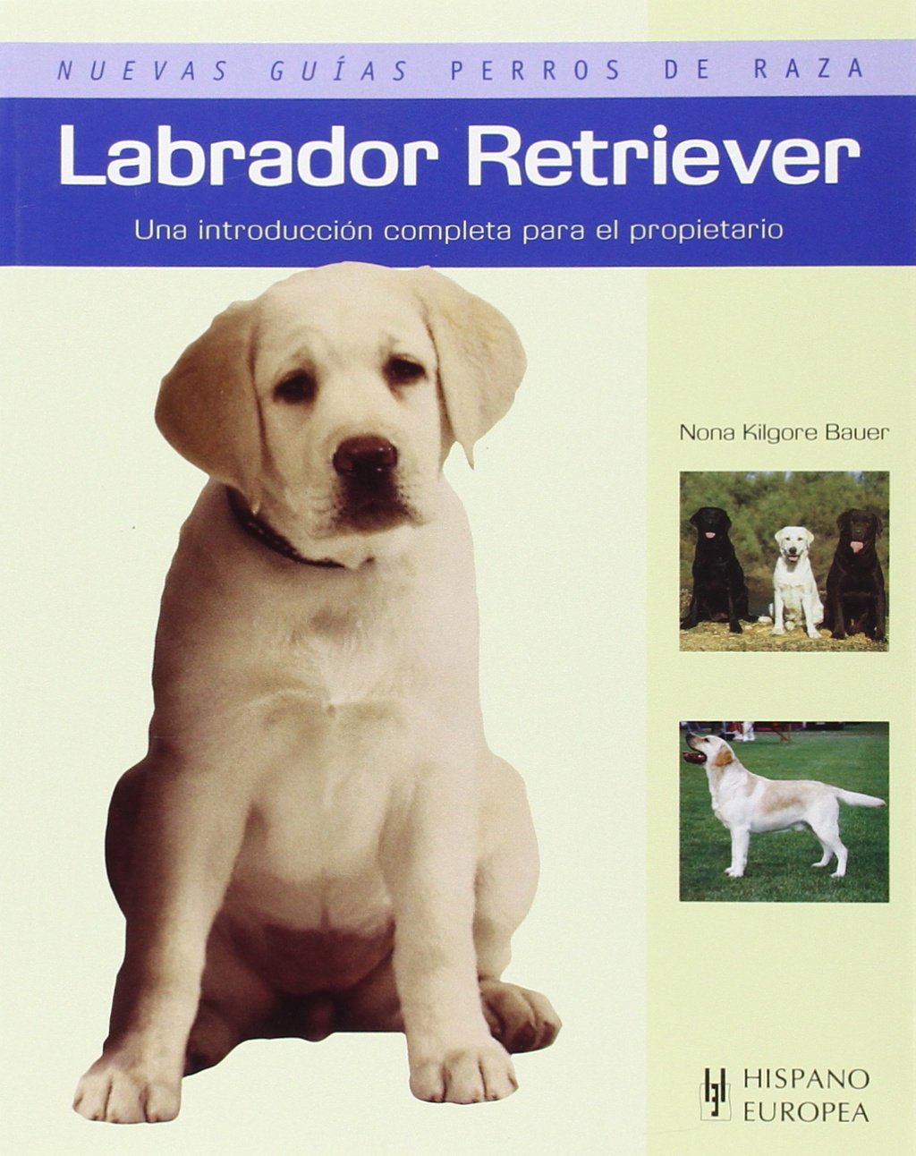 APRENDE CON ESTA GUIA PRACTICA Y UTIL A CONOCER AL LABRADOR RETRIEVIER. UNA MASCOTA DOCIL Y CARIÑOSA COMO NINGUNA.