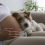 ¿Puede un GOLDEN RETRIEVER detectar un embarazo antes que un test?