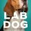 El legado de Hammy: la verdad detrás de los perros de laboratorio