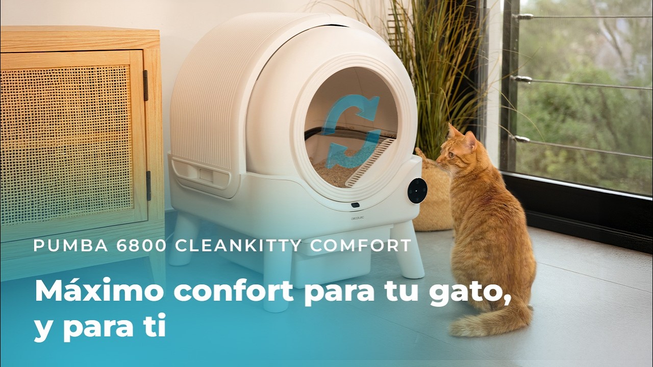 arenero pumba 6800 cleankitty co