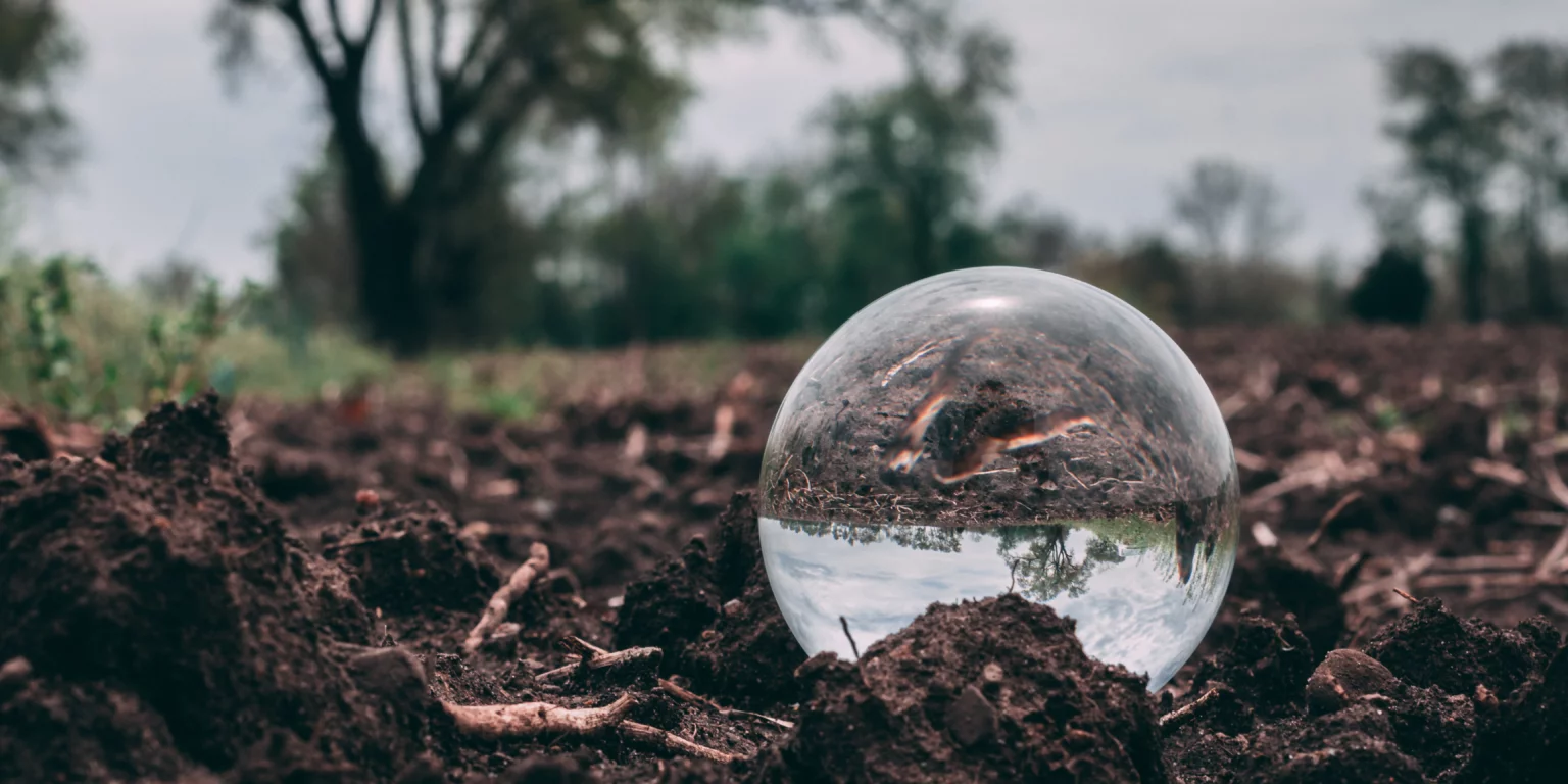 ABONO ORGÁNICO ECOLÓGICO: ¿Salvará tu jardín y a tu perro? - El dilema del Abono orgánico ecológico frente a la química