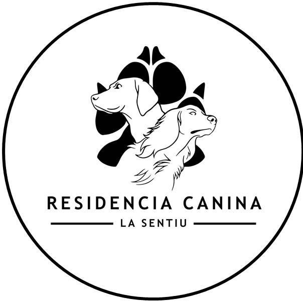 Cual es la mejor residencia canina y felina en Barcelona 3 324846498 713673220331493 8454811136557176445 n