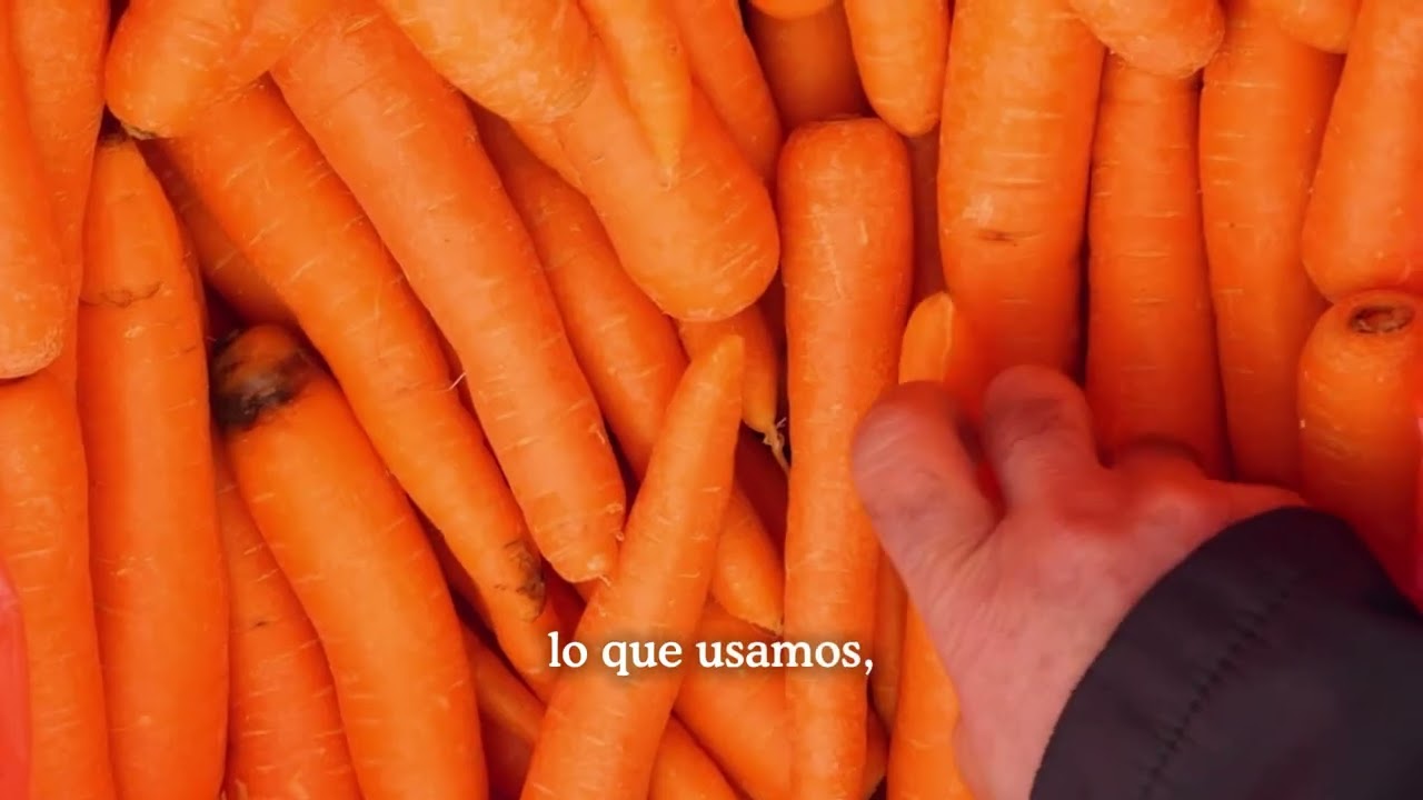 MEJOR COMIDA PARA PERROS: El secreto de un pelo de lobo 3 asi cocinamos los menus de food